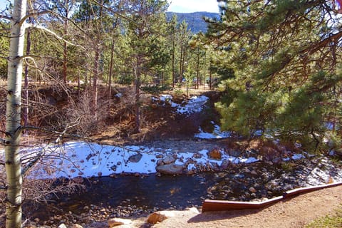 River View from Deck