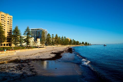 Glenelg Beach