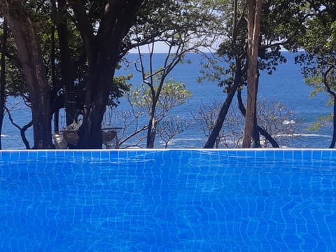 OCEANFRONT / POOLSIDE VIEW