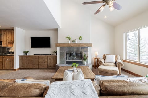 Gas assist wood burning fireplace and a Smart TV