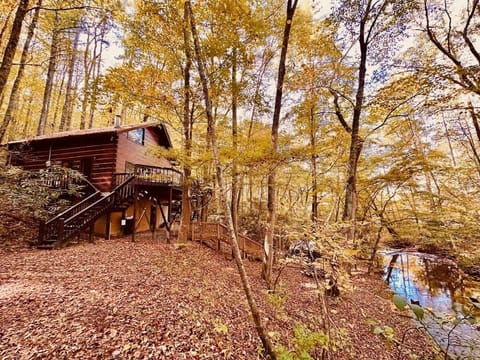 Just amazing during the fall