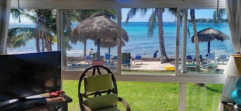 You Can't Get Any Closer to a Beautiful Beach Than This!