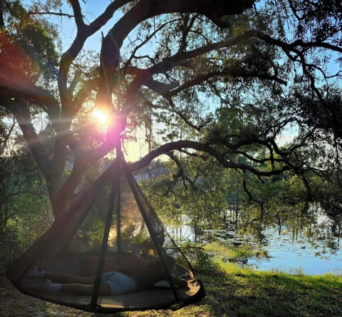 relax on our new saucer hammock 