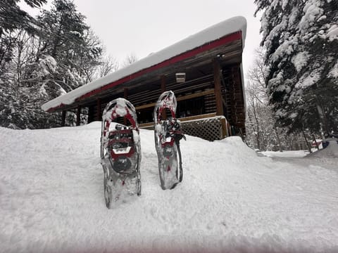 I provide some pairs of snowshoes for walks in the forest.
