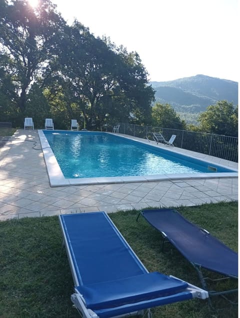 Autumn, Pool, Spring, Summer