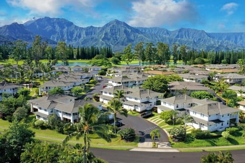 Aerial View of North Shore & Princeville