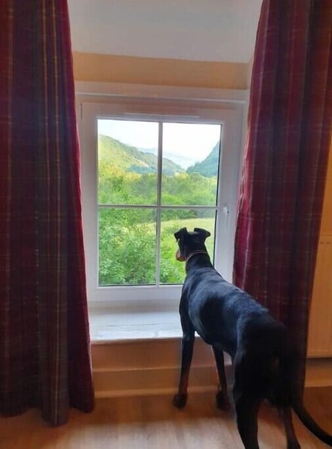 Views of Cadair Idris from master bedroom. Max 2 dogs allowed on request.