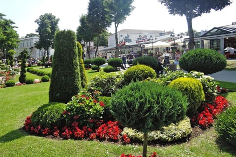 Surroundings [summer] (1-5 km)