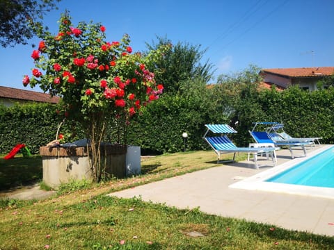 Autumn, Building Exterior, Garden, Spring, Summer