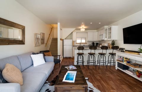 Living/ Kitchen Area