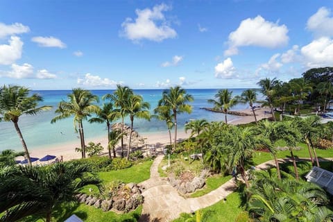 Experience on the stunning island of Barbados