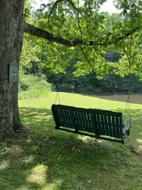 Swing at main waterfront