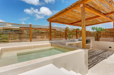 Roof & plunge pool 1