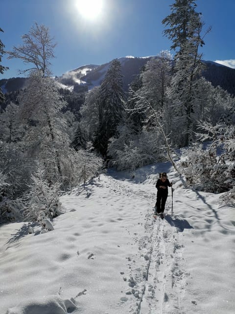Snow and ski sports