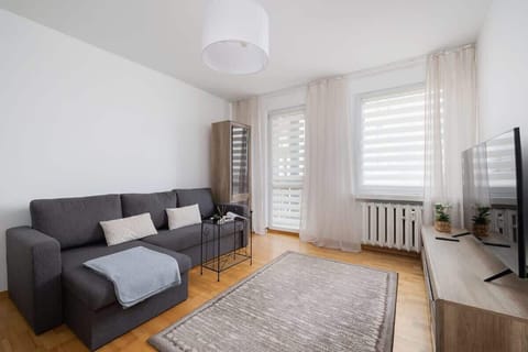 A modern living room with a dark gray sofa, a coffee table, and a soft area rug, complemented by natural light from large windows with sheer curtains.

