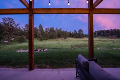 Beared Buffalo (68 of 211)