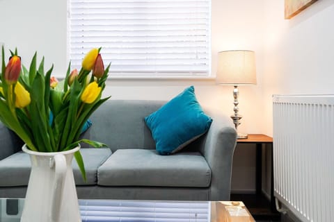 Living Room / Lounge