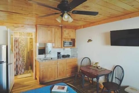 Kitchenette/dining area