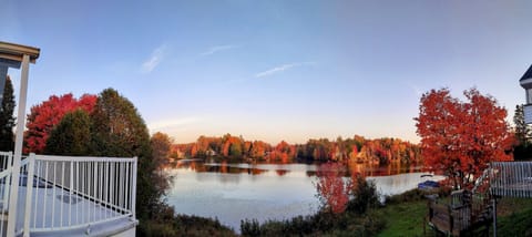 The lake in autumn