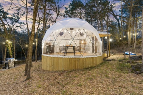 Geo dome nested in nature