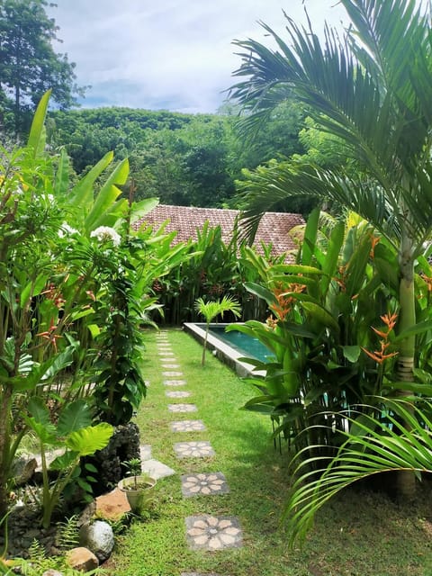 Pool/garden area