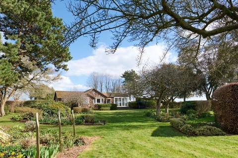The garden at Sunset Cottage, Kent