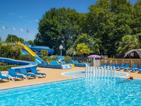 Dive into relaxation at our vibrant outdoor pool.