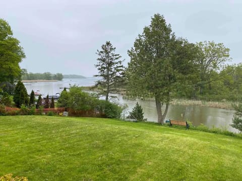 Spring time. Backyard