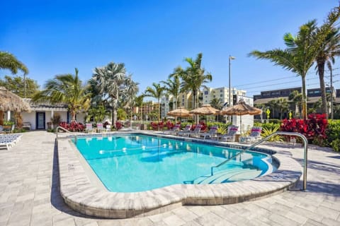 Sun-soaked pool surrounded by palm trees, perfect for cooling off & lounging under clear blue skies.