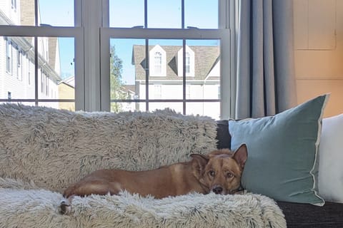 Our cozy townhouse can be a home away from home for the whole family!