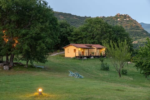 Plant, Sky, Building, Property, Ecoregion, Mountain, Window, Leaf, Tree, House
