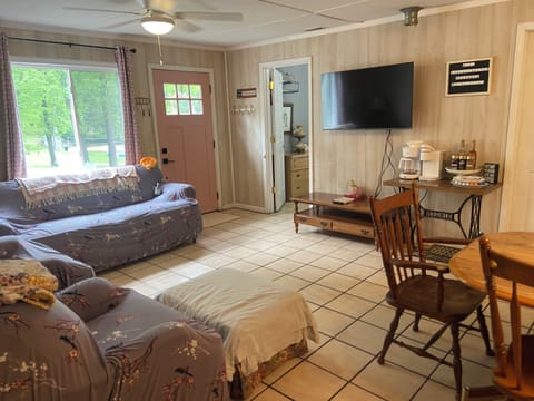 Living room with 48" Roku tv