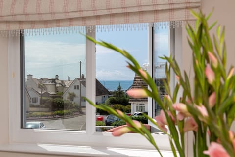 Ty Heulwen View from Bedroom