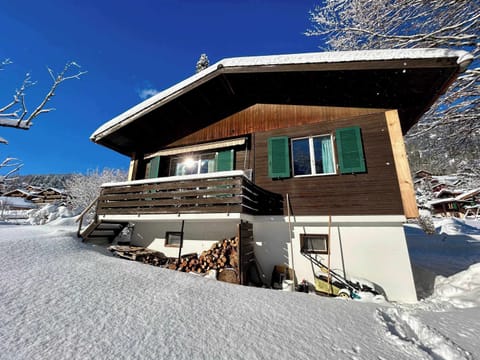 the chalet from the yard (winter 1)
