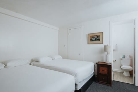 Unit with 2 Queen size beds