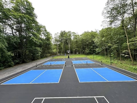 Sport court