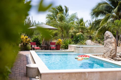 Your Oasis
