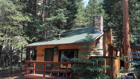 cabin9_estes_park_Large