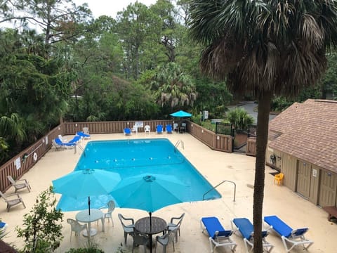 Neighborhood Pool in Sawgrass