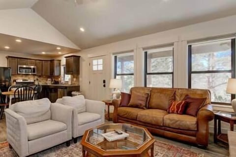 Living and Kitchen Area