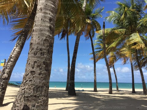 SIMPLY PARADISE! Photo taken by us of  beachfront RIGHT IN FRONT of our building