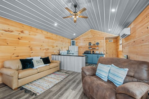 Ceiling fans (living room & bedroom) & mini-split unit for heating/cooling