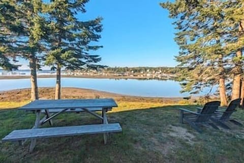 There are two Adirondack chairs and a picnic table in the back yard.