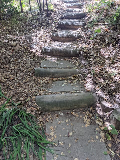 Woodsy log path down to entry