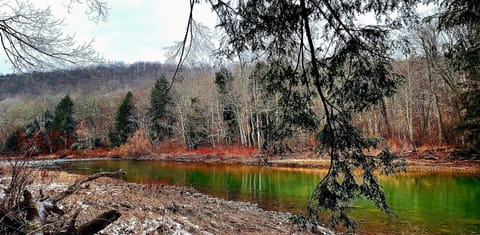 Cabin by the Red Bank creek