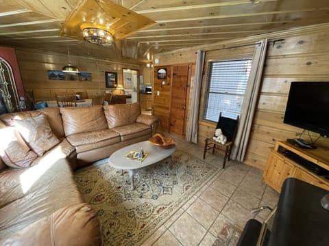 Living area with t.v. and wood burning stove