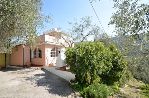 Main view