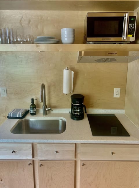 Tiny20520interior205