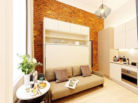 Living room area with folded wall bed into sofa.