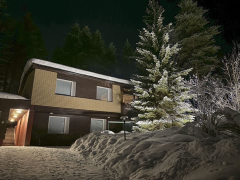 Puistometsään rajoittuva 2-kerroksinen omakotitalo